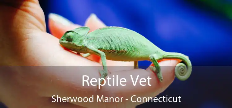 Reptile Vet Sherwood Manor - Connecticut