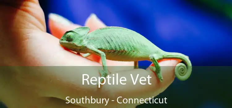 Reptile Vet Southbury - Connecticut