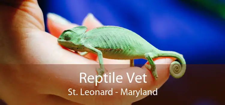 Reptile Vet St. Leonard - Maryland