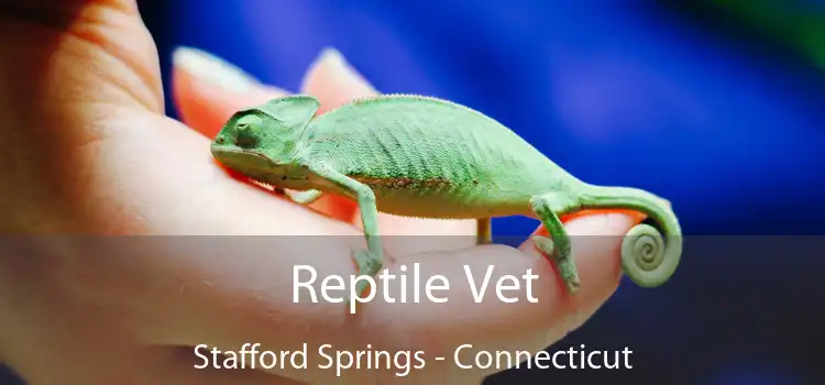 Reptile Vet Stafford Springs - Connecticut