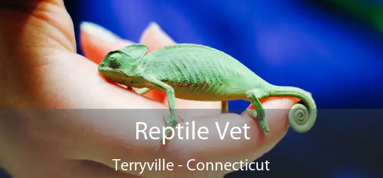 Reptile Vet Terryville - Connecticut