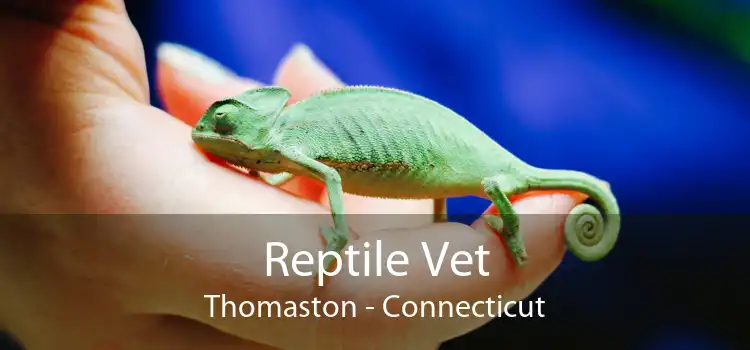 Reptile Vet Thomaston - Connecticut
