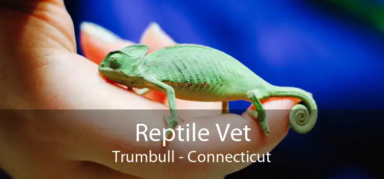 Reptile Vet Trumbull - Connecticut