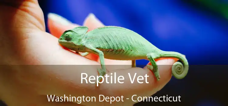 Reptile Vet Washington Depot - Connecticut