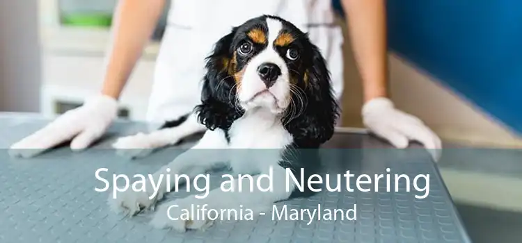 Spaying and Neutering California - Maryland