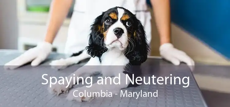 Spaying and Neutering Columbia - Maryland