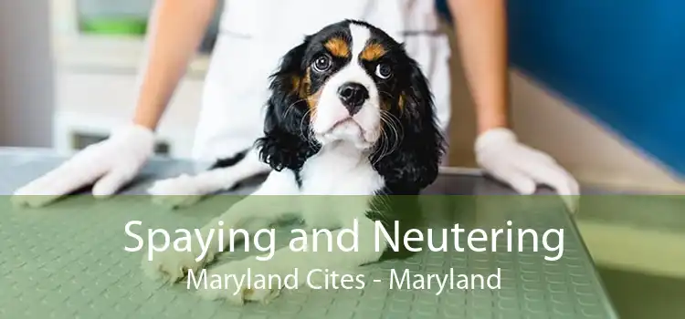 Spaying and Neutering Maryland Cites - Maryland