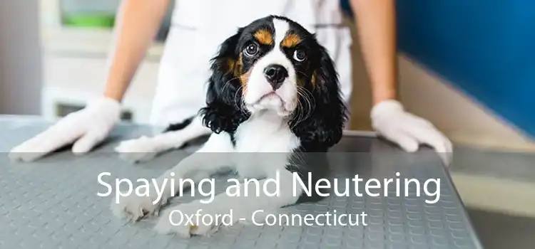 Spaying and Neutering Oxford - Connecticut