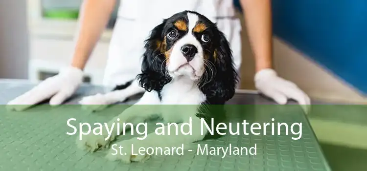 Spaying and Neutering St. Leonard - Maryland