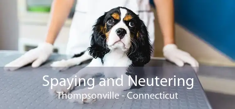Spaying and Neutering Thompsonville - Connecticut